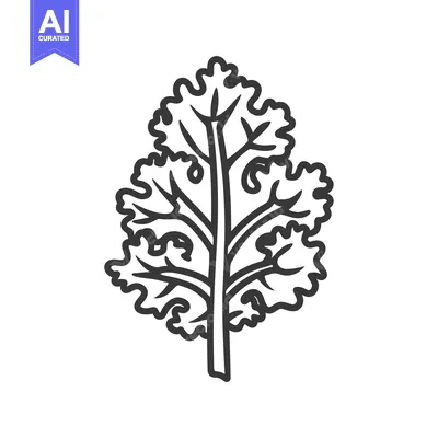 Line art drawing of a single sprig of cilantro or parsley