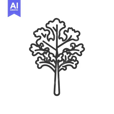 Aset premium populer: Line art drawing of a single stalk of kale