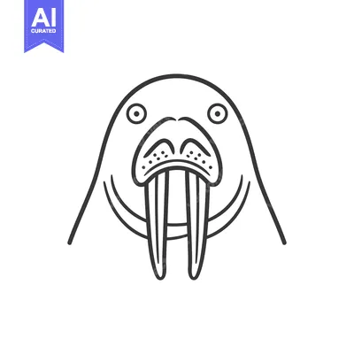 Premium design asset: Line Art Drawing of a Walrus Head with Large Tusk