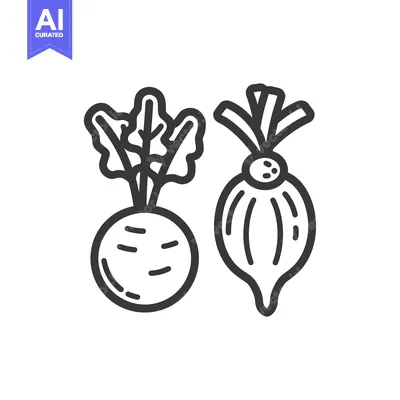 Aset premium populer: Line Art Illustration of a Beet and a Turnip