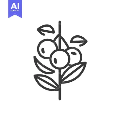 Premium design asset: Line art illustration of a blueberry plant with three berries