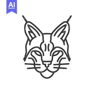 Aset premium populer: Line art illustration of a bobcat's head