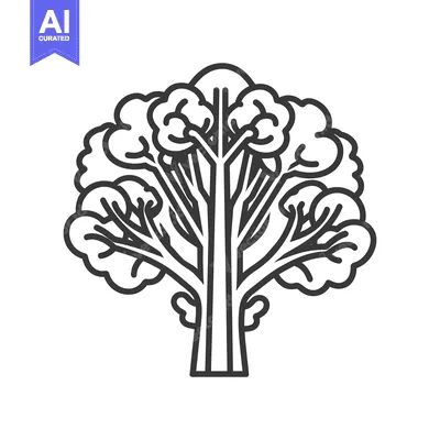 Aset premium populer: Line Art Illustration of a Broccoli Floret