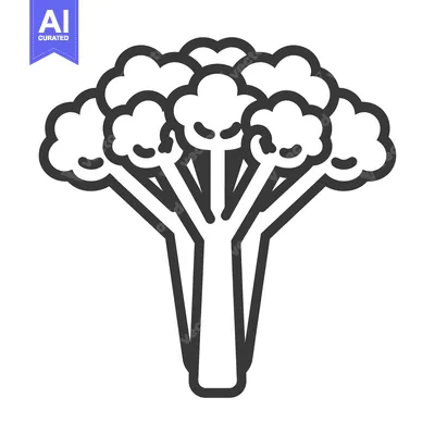 Line art illustration of a broccoli floret