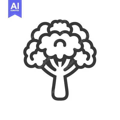 Popular premium asset: Line art illustration of a broccoli floret