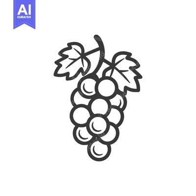 Popular premium asset: Line art illustration of a bunch of grapes with leaves