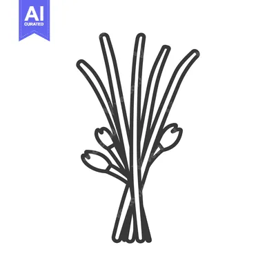 Premium design asset: Line Art Illustration of a Bunch of Green Onions