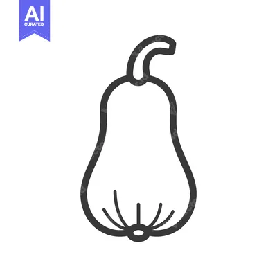 Aset premium populer: Line art illustration of a butternut squash