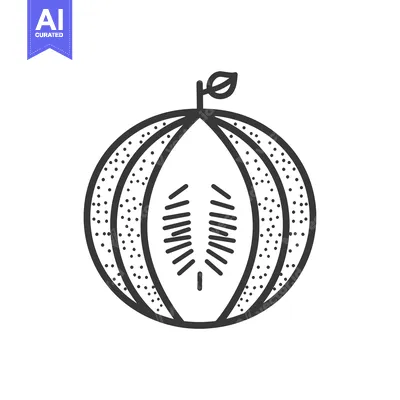 Aset desain premium: Line Art Illustration of a Cantaloupe with a Leaf