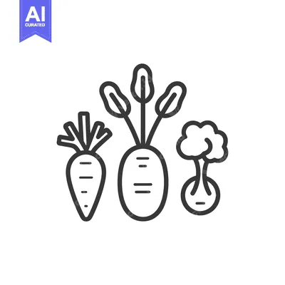 Aset premium populer: Line Art Illustration of a Carrot, Beetroot, and Turnip