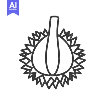 Aset premium populer: Line art illustration of a chestnut with a husk