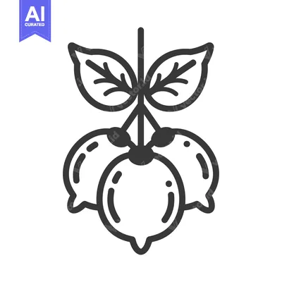 Premium design asset: Line Art Illustration of a Cluster of Three Round Fruits with Stem and