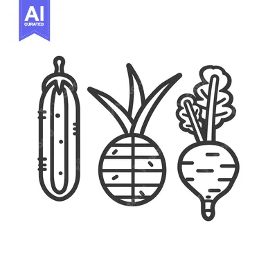 Popular premium asset: Line Art Illustration of a Cucumber, Turnip, and Beetroot