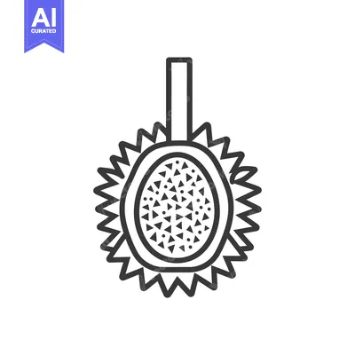 Line Art Illustration of a Durian Fruit
