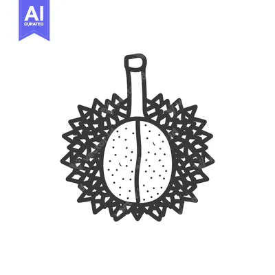 Line Art Illustration of a Durian Fruit