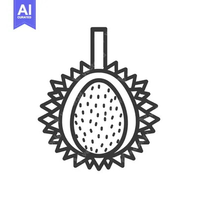 Line Art Illustration of a Durian Fruit Cut Open