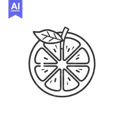 Aset desain premium: Line art illustration of a halved citrus fruit with a leaf