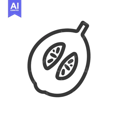 Aset premium populer: Line art illustration of a halved melon with seeds