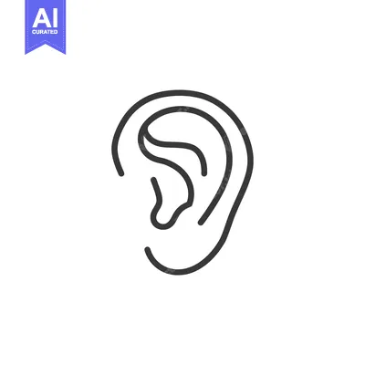Line Art Illustration of a Human Ear