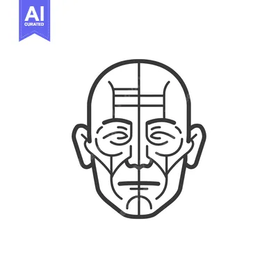 Popular premium asset: Line Art Illustration of a Human Face with Detailed Muscle Structure