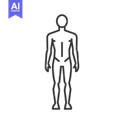 Premium design asset: Line Art Illustration of a Human Figure