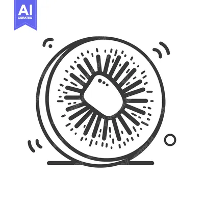Aset premium populer: Line art illustration of a kiwi fruit slice