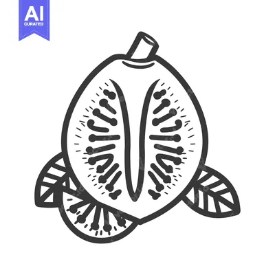 Premium design asset: Line art illustration of a kiwi fruit with leaves