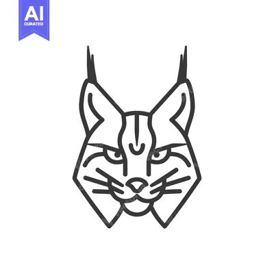 Popular premium asset: Line art illustration of a lynx's face