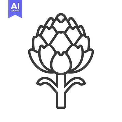Line art illustration of an artichoke plant