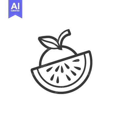 Aset premium populer: Line Art Illustration of an Orange Half Inside a Watermelon Slice