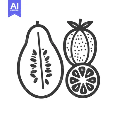 Aset desain premium: Line Art Illustration of a Papaya and an Orange