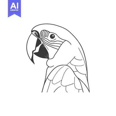 Premium design asset: Line art illustration of a parrot's head