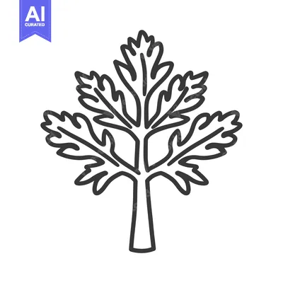Aset desain premium: Line Art Illustration of a Parsley Sprig