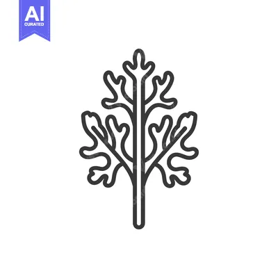 Aset premium populer: Line Art Illustration of a Parsley Sprig