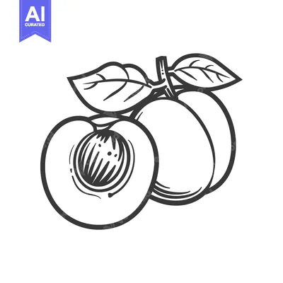 Aset desain premium: Line Art Illustration of a Peach with a Leaf