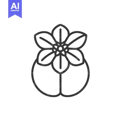 Popular premium asset: Line art illustration of a persimmon with a flower on top