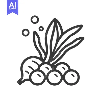 Aset premium populer: Line Art Illustration of a Plant with Bubbles and Berries