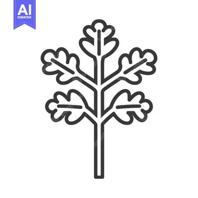 Aset desain premium: Line Art Illustration of a Plant with Five Leaves