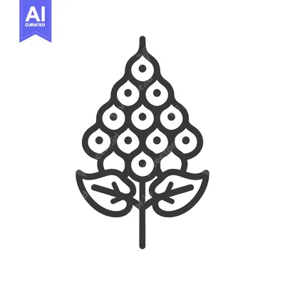 Aset premium populer: Line art illustration of a plant with round fruits