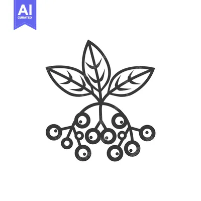 Aset desain premium: Line Art Illustration of a Plant with Three Leaves and Berries