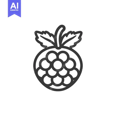 Aset premium populer: Line Art Illustration of a Raspberry