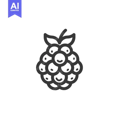 Aset premium populer: Line art illustration of a raspberry with a stem and leaves