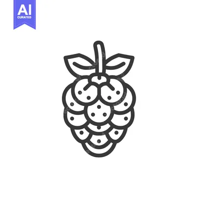 Aset premium populer: Line art illustration of a raspberry with leaves