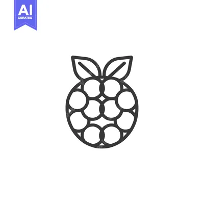 Aset premium populer: Line art illustration of a raspberry with leaves