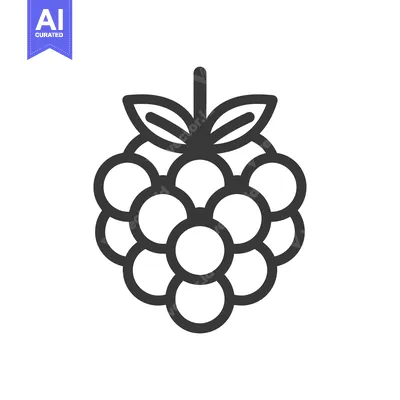 Aset premium populer: Line art illustration of a raspberry with leaves