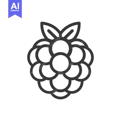 Aset premium populer: Line Art Illustration of a Raspberry with Leaves
