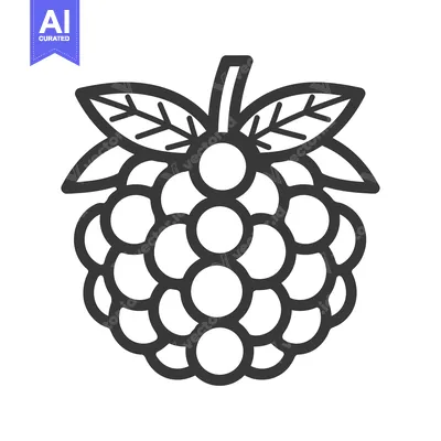 Aset desain premium: Line Art Illustration of a Raspberry with Leaves