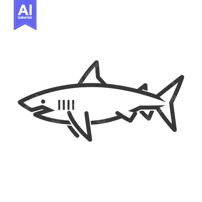 Popular premium asset: Line Art Illustration of a Shark with Fins and a Tail