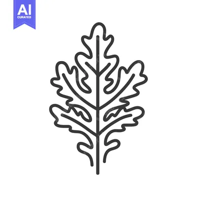 Popular premium asset: Line art illustration of a simple leaf design