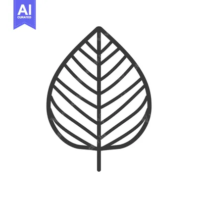 Popular premium asset: Line art illustration of a simple leaf with veins